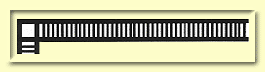 Adam Border