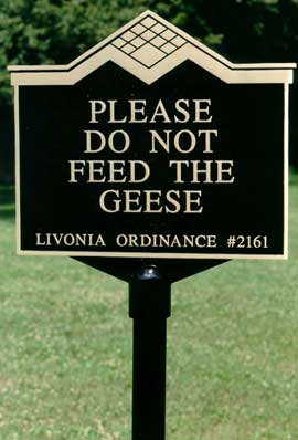 Garden Plaques, Tree Plaque, Bronze Plaques, Free Shipping, Fast 8 Days