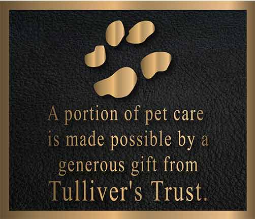 custom bronze plaque