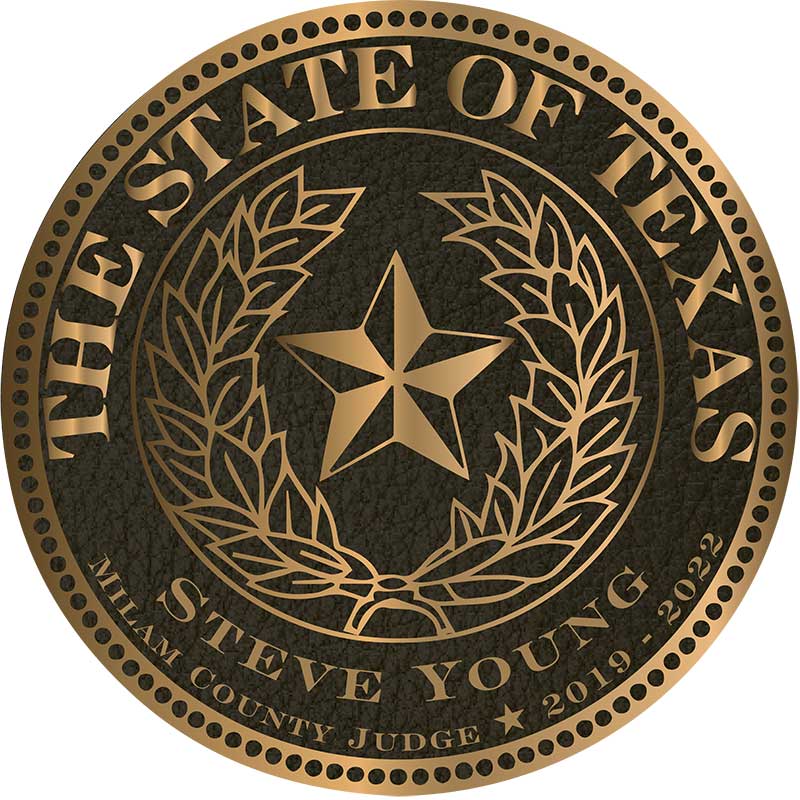 brone seal texas bronze state seal