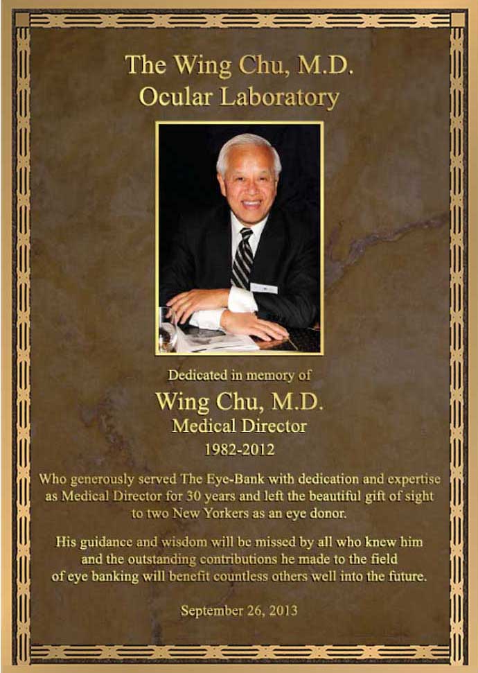 Doctor Plaque, Doctor Plaques, photo Doctor Plaque