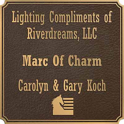 bronze outdoor plaque, bronze memorial plaques