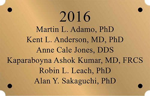 outdoor brass Metal Plaque, brass Metal Plaques, Metal Plaque