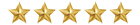 five star customer review piraino
