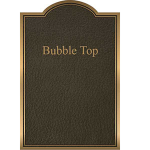 bubble top bronze plaque